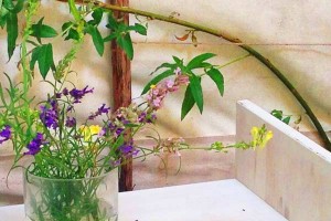 five-acres-gallery-016