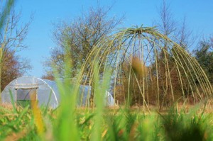 five-acres-gallery-21